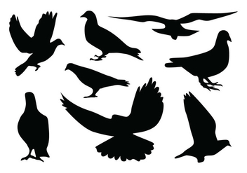 Pigeon Silhouette Vectors - бесплатный vector #418835