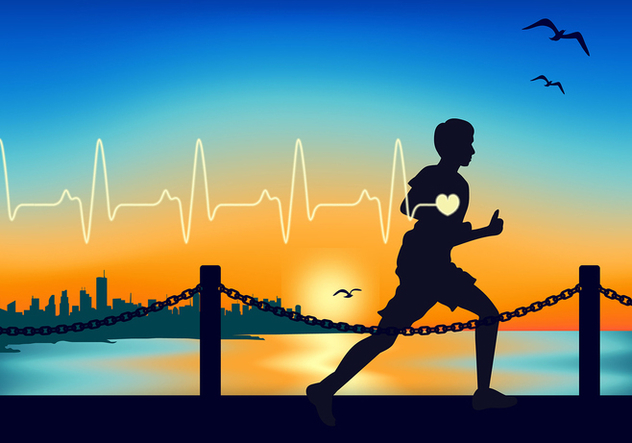 Heart Rate Running Free Vector - Free vector #422655