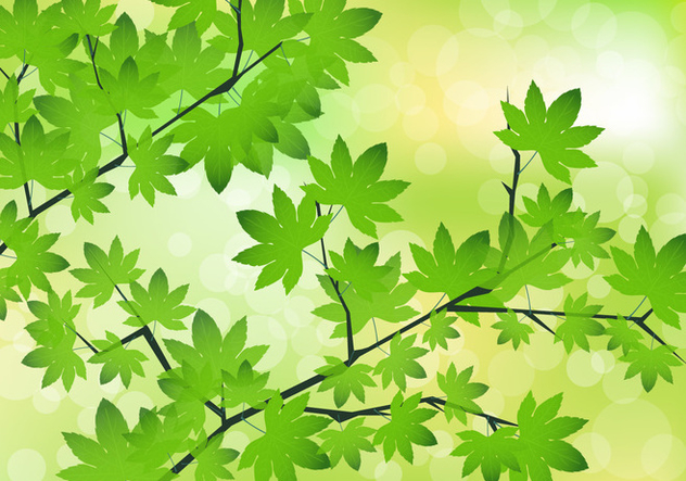 Green Maple Leaves Vector - vector #424325 gratis