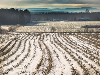 Winter landscape - image #426975 gratis