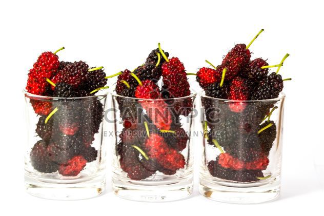 Fresh mulberries in glasses - image #428785 gratis