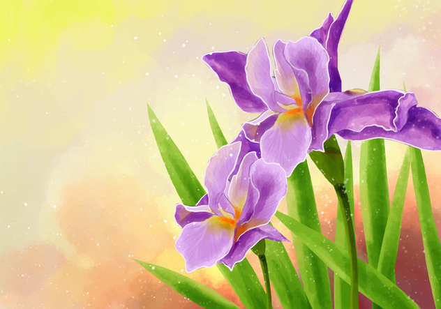 Descargar Vector Hand Draw Iris Flower Illustration Gratis 434925 | CannyPic