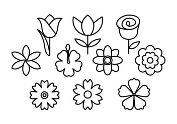 Free Flowers Line Icon Vector - Kostenloses vector #436185