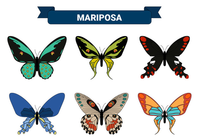 Colorful Butterfly Vector Collections - vector #437965 gratis