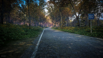 TheHunter: Call of the Wild / The Road Through Nature - Kostenloses image #446865
