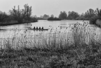 Four in a row, Biesbosch, Dordrecht - Free image #451515
