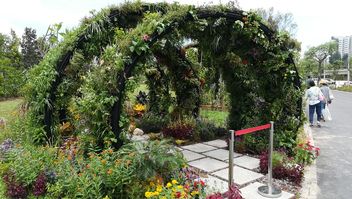 Ornamental horticulture - image #461405 gratis