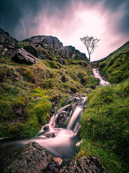 Borrowdale - Lake District, England - Landscape photography - Kostenloses image #461525