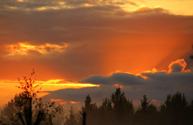 The sunday evening sunset - Kostenloses image #463655