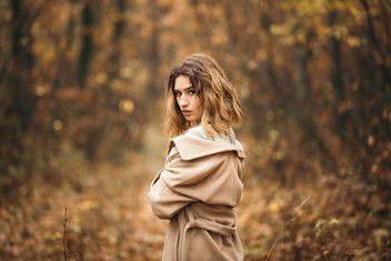 Portrait of young woman posing in a park. Young girl with yellow autumn leaves - бесплатный image #465065