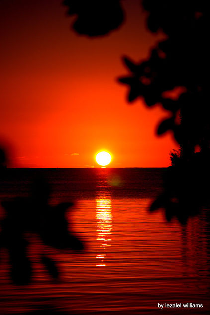 Sun Setting by iezalel williams IMG_3941-004 - Kostenloses image #465505
