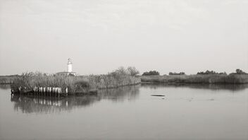 Po river delta. - Kostenloses image #468245