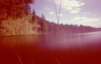 Deadman Lake, B.C. - image gratuit #475915 