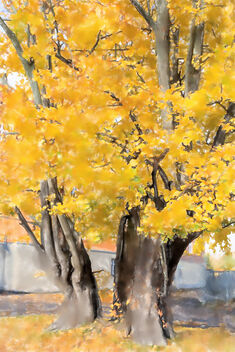 Autumn in Freiberg - бесплатный image #476075