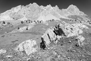 High Maira Valley scene. Better viewed large. - image gratuit #476195 