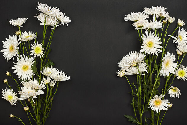 Spring background with flowers on black - image #476845 gratis
