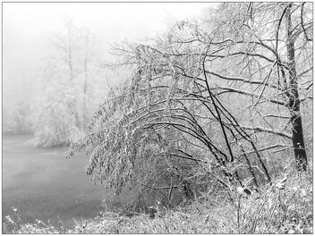 Foggy winter - image #478335 gratis