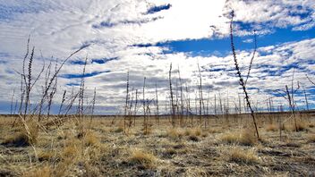 Open sky. Antelope Island, Utah. - Free image #478975