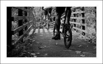 Cycling in the park - Free image #479665