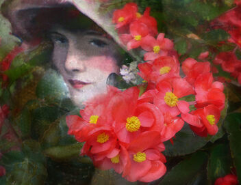 Lady Regarding Flowers - image #480345 gratis