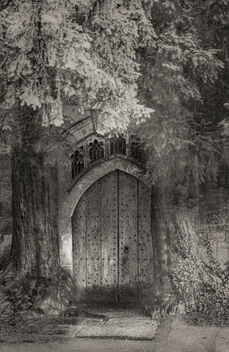 Hobbit Door - Free image #486215