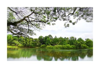 Bishan-AMK park - image #489865 gratis