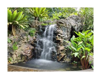 Botanic Gardens - waterfall - image #490245 gratis