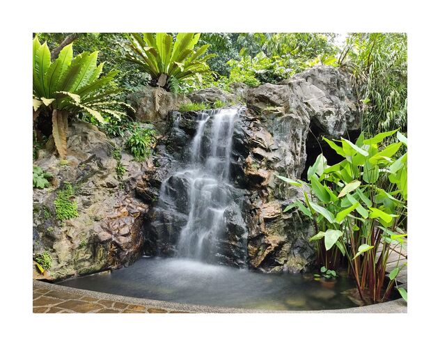 Botanic Gardens - waterfall - Kostenloses image #490245