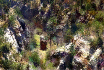 Descent into Walnut Canyon - бесплатный image #490395
