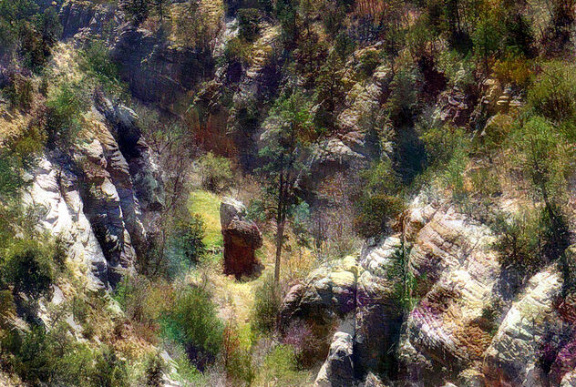 Descent into Walnut Canyon - Kostenloses image #490395