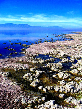 Salton Sea Flats, California Wilderness - бесплатный image #493505