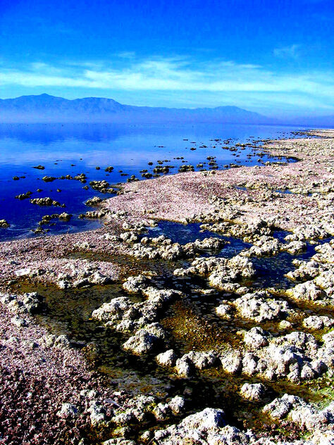 Salton Sea Flats, California Wilderness - image #493505 gratis