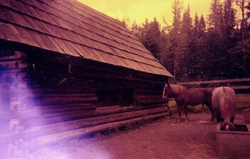 Cariboo Gold Rush: Barkerville - image gratuit #493715 