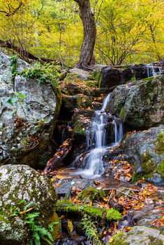 Hawksbill Creek - Shenandoah National Park - image gratuit #493745 