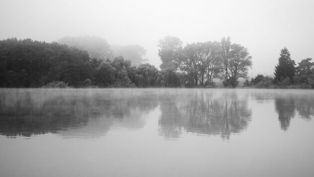 Morning at the lake - image #493935 gratis
