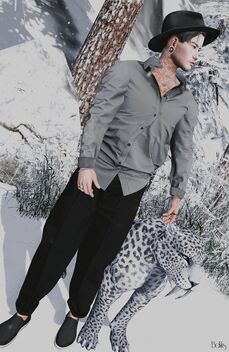Snow Leopard - Free image #495715