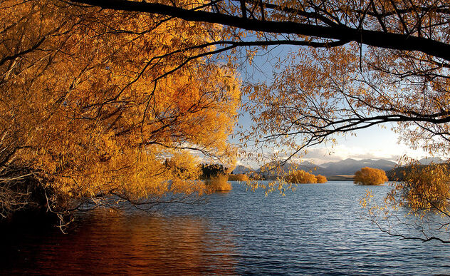 Autumn at the lake. - Free image #496065