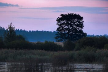 Early morning landscape - бесплатный image #499405