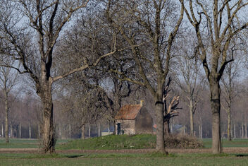 Griendwerkershuisje op terp, Biesbosch - Dordrecht - image gratuit #499585 