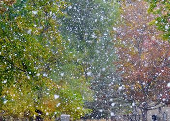 Snowy Impressionism - Kostenloses image #502495