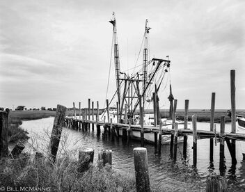 Shrimpboat Dock in Beaufort SC - Free image #503255