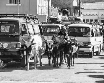 Slow Traffic, Madagascar - image gratuit #504245 